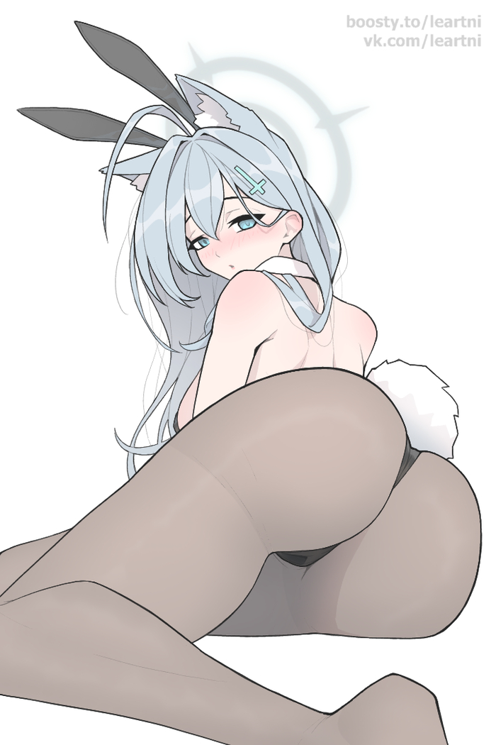  Shiraori  - , Anime Art, Blue Archive, Shiroko Terror, Bunnysuit, Bunny Ears, Animal Ears, ,  ,  ,  ,   , 