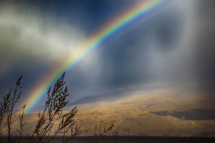 Rainbow