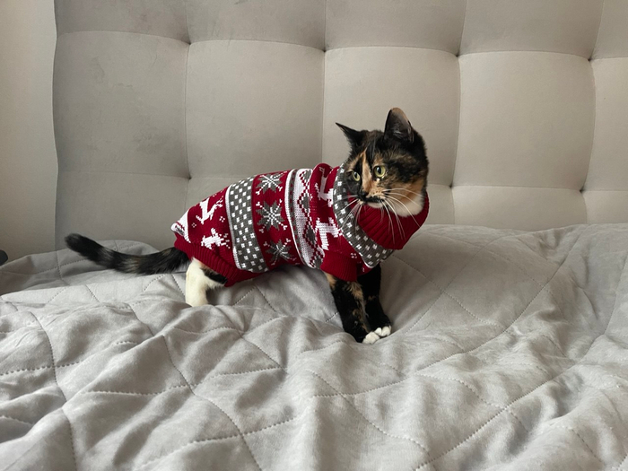 ��� ��� �� ���� �����, � �� ����� ���� ������� �� �����.