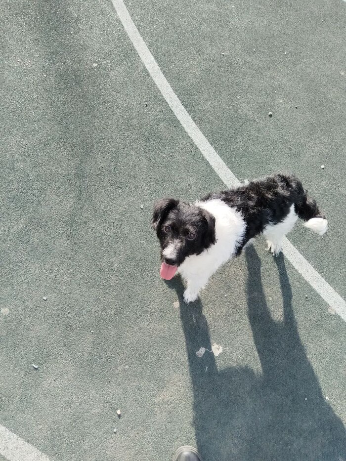        , , , ,  , , ,  ,  , , , , , 
