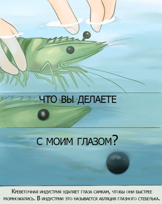      :   ? , , , , 