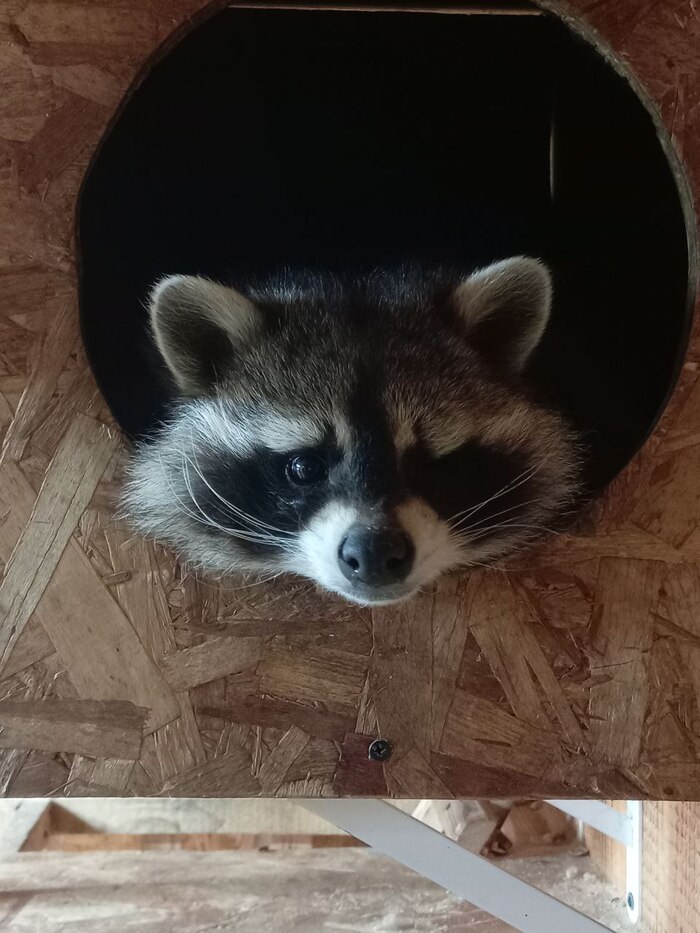   , , 