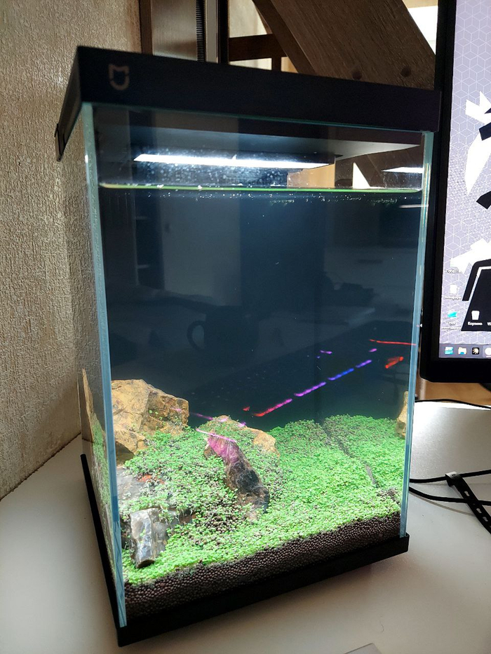 Опытыные читатели заметят, что вода имеет белёсый оттенок. Сейчас идёт установление азотного цикла и это явление абсольтно нормально. Но запускать рыбок пока нельзя.