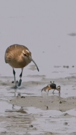    , , , 