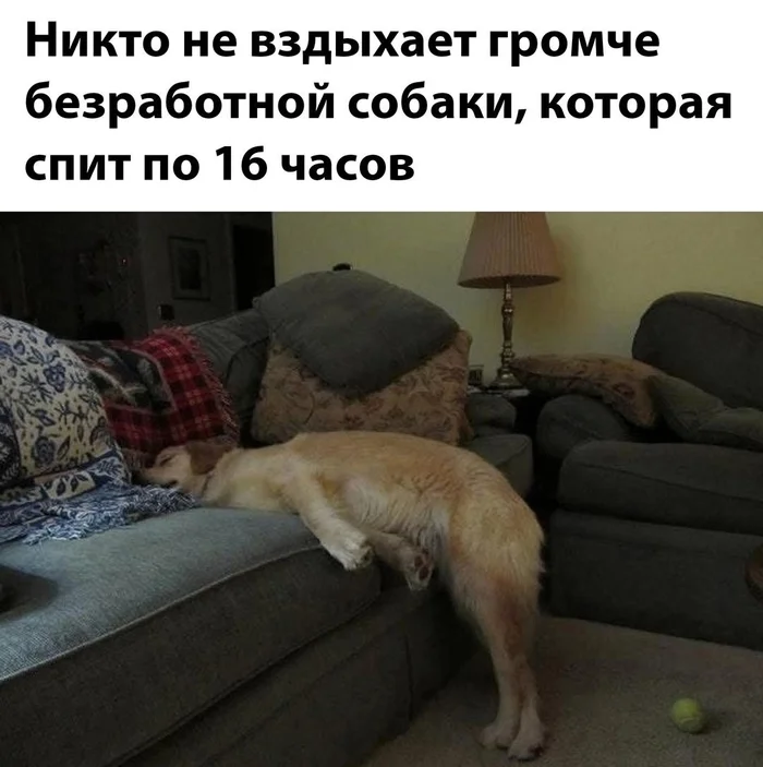 foqfkkn3.webp