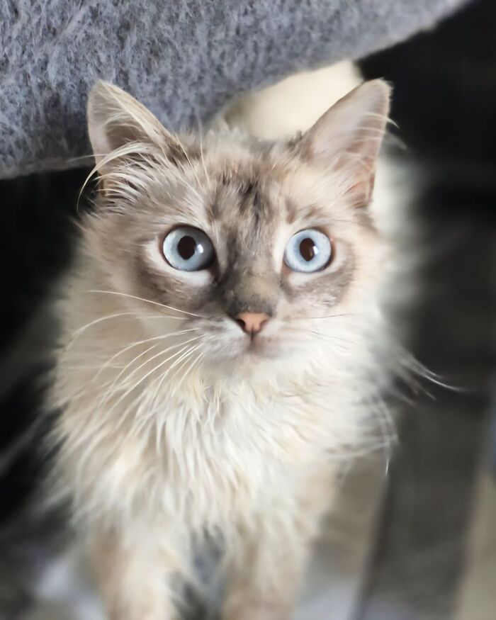      ! ,   ,  ,  ,  ,  , , ,  , ,  , ,   ,  ,  , ,  , 