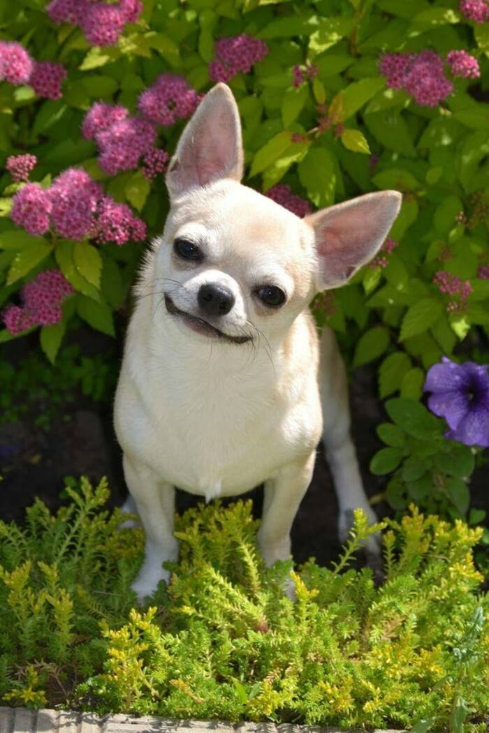 &quot;         &quot;.  - . ...