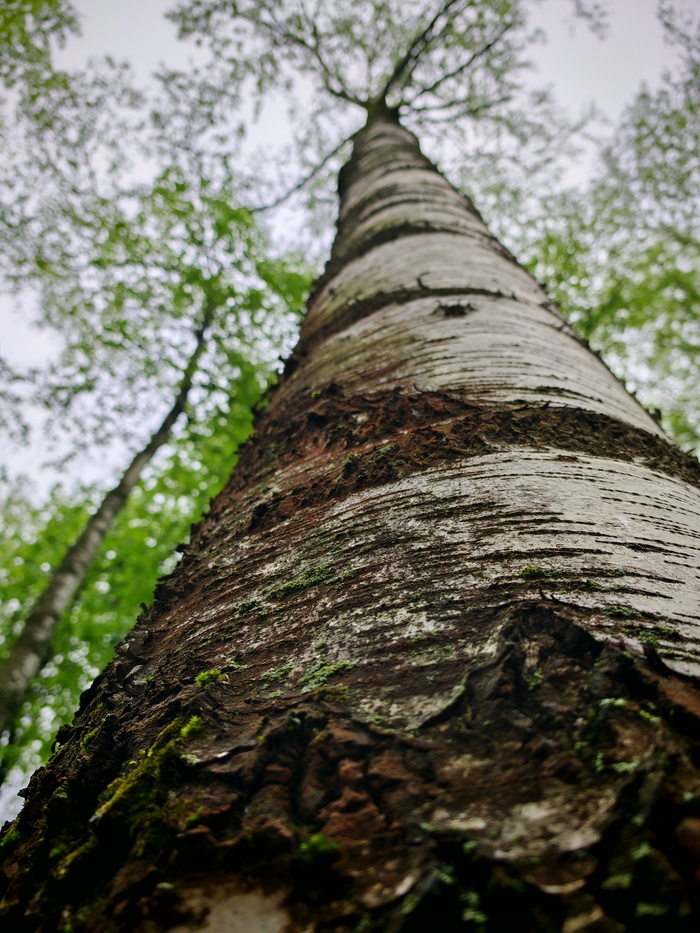 ...� ���...� � �����...�� ��� ���