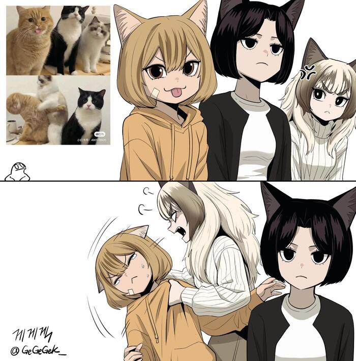 !!! , , , , , 
