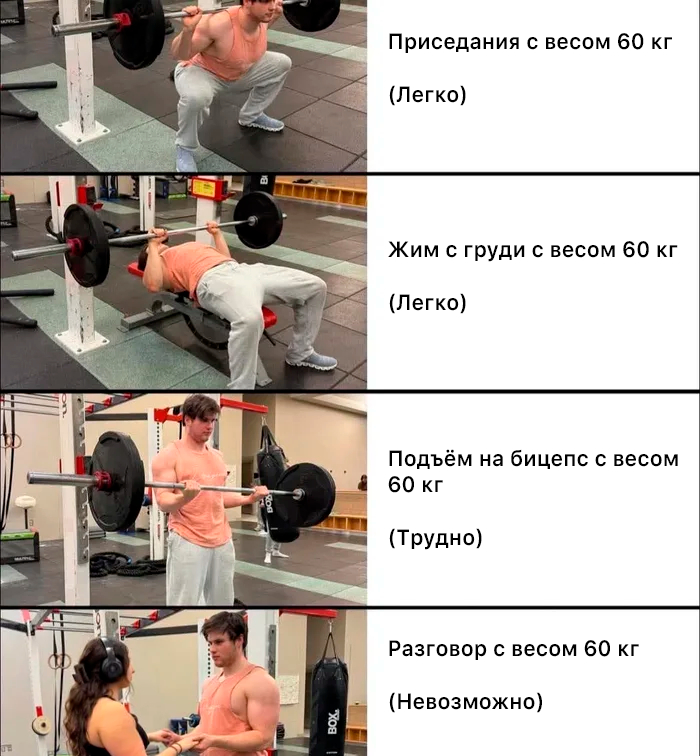   ,  , ,  , ,  