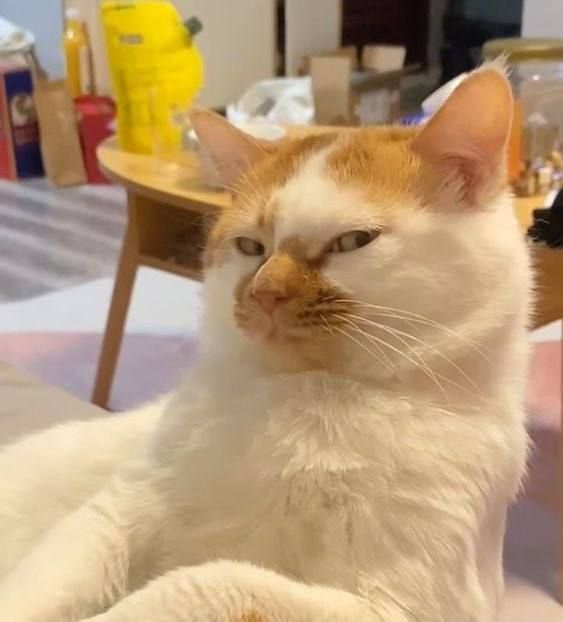      ,  , , , , , , , 