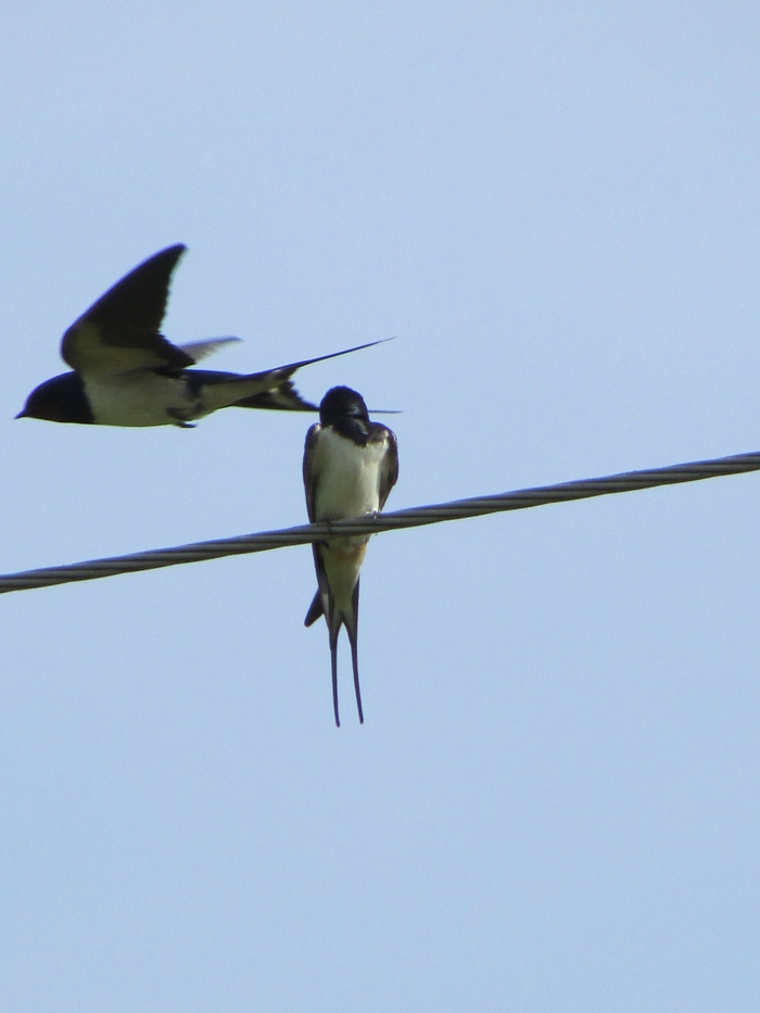 � ��� �������� � ������� ����� �� �����.. �� �������! ����� ���� ����, ���� �����)