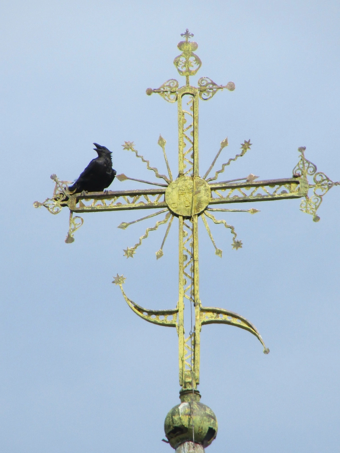 ������ �����, ��������� �� ������ ������ ������