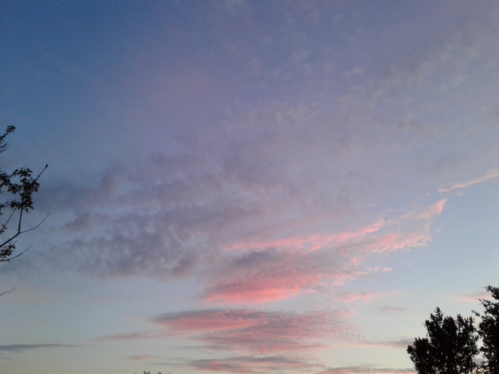 Good evening
