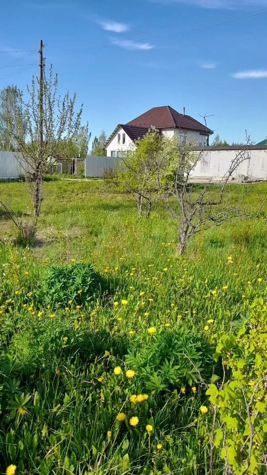 Как мы чуть не купили участок с уткой посередине за 1,5 миллиона