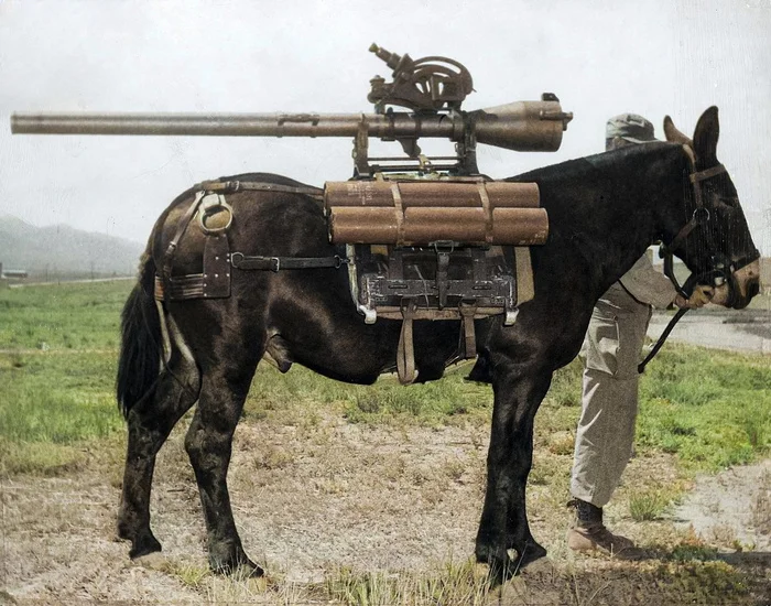 Интересные снимки различных военных конфликтов ХХ века. 20 раскрашенных фотографий 20 век, Историческое фото, Военная история, Военные, Война, Старое фото, Фотография, Колоризация, Длиннопост