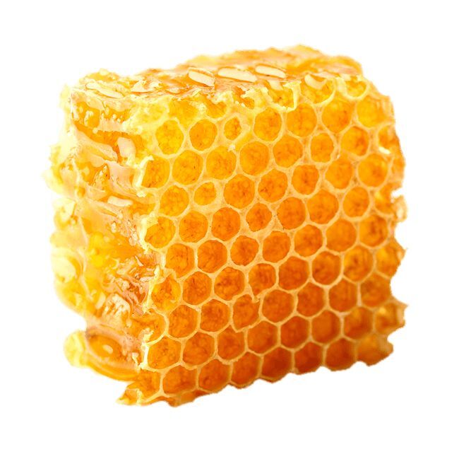   , ,   , , 