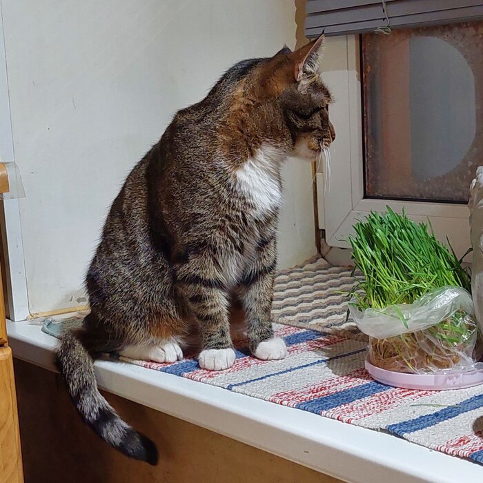   ! , ,  ,  , , 