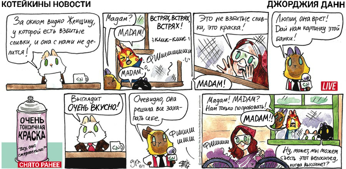 Котейкины Новости от 01.06.2025