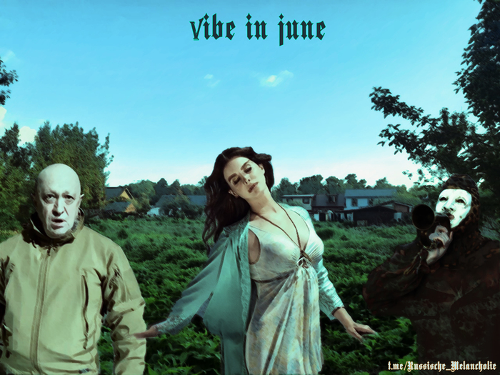 Vibe in june