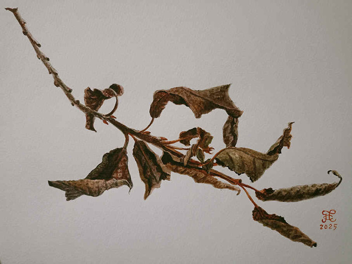 ����� ������ �����. ������, ��������, �4.