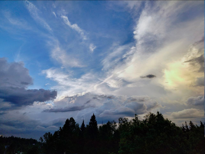 ����� �����