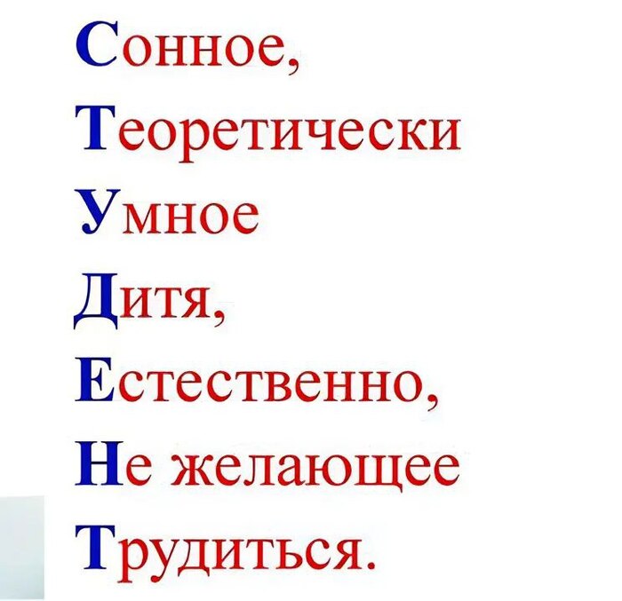   ,     , TikTok, , , ,  ,  , 
