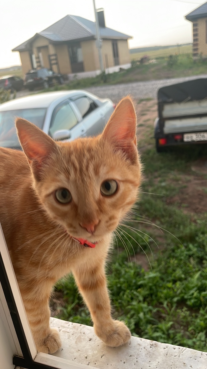   ,   , , , ,    ,  ,  , , , , 