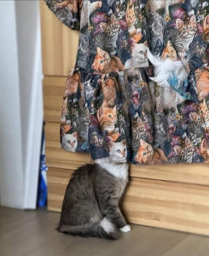 ,  