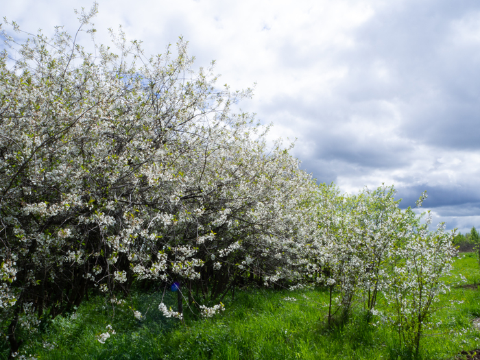   , , , , ,  , , Olympus, Lightroom, 