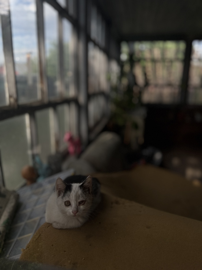    ,  ,   , , , ,  , ,  