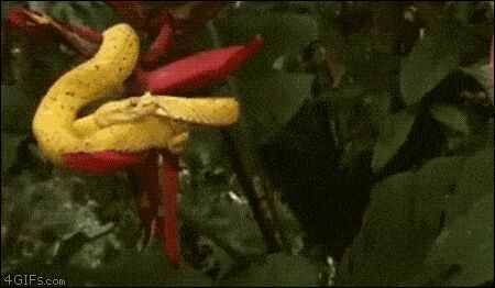   , , , 