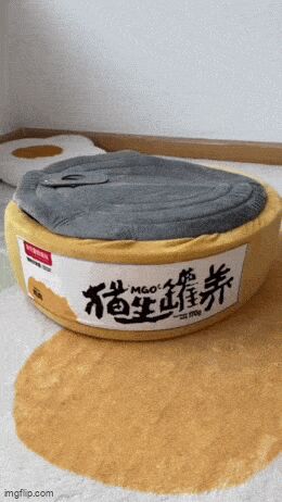 Кошачьи гифки Кот, Гифка, Ассорти, Длиннопост