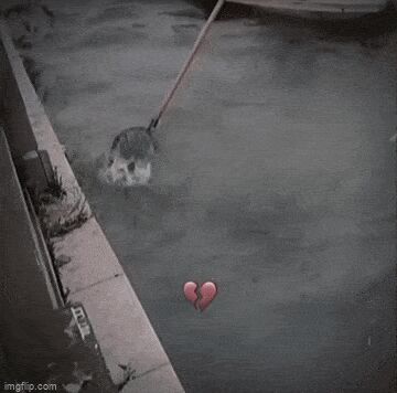       , , , 