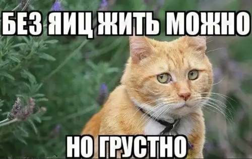         ? , , ,   ,  (),  ,    ,  , ,  , , ,   , , ,   ,   