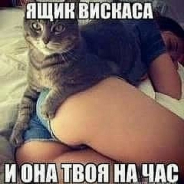  ,  -    , , , , 