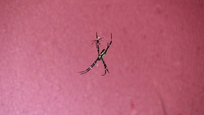    .     , .  ,        ,     .    ,  ,     . 