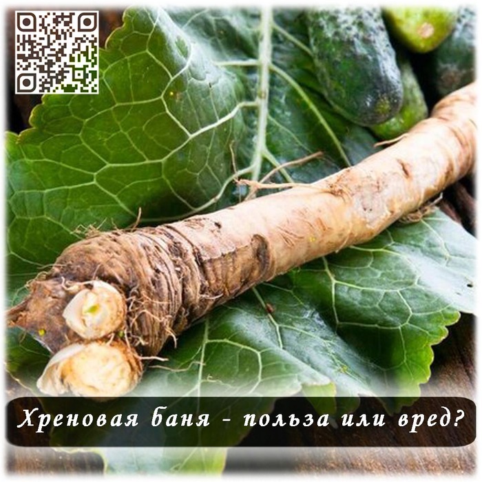 �������� ����!