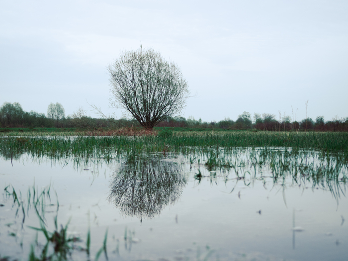  ,  , , ,  , , Olympus, Lightroom