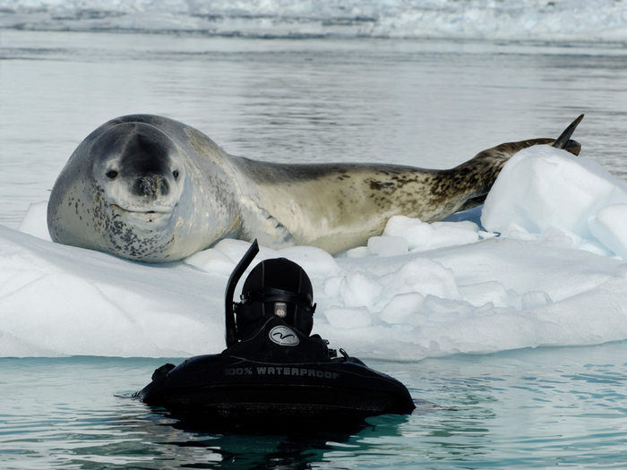 Поменялись местами.