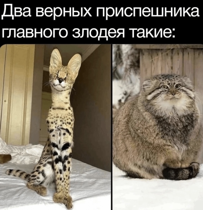  :3 , ,  ,   , 