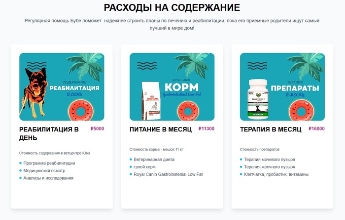 Расходы на содержание Воина Бубы