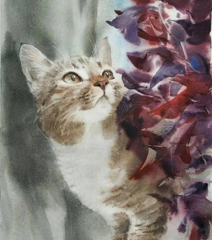 Кто-то любопытный