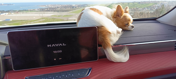    ,  .         .     .