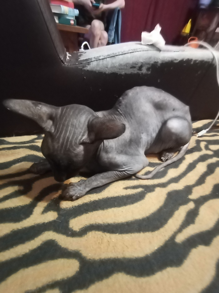      , ,  , , 