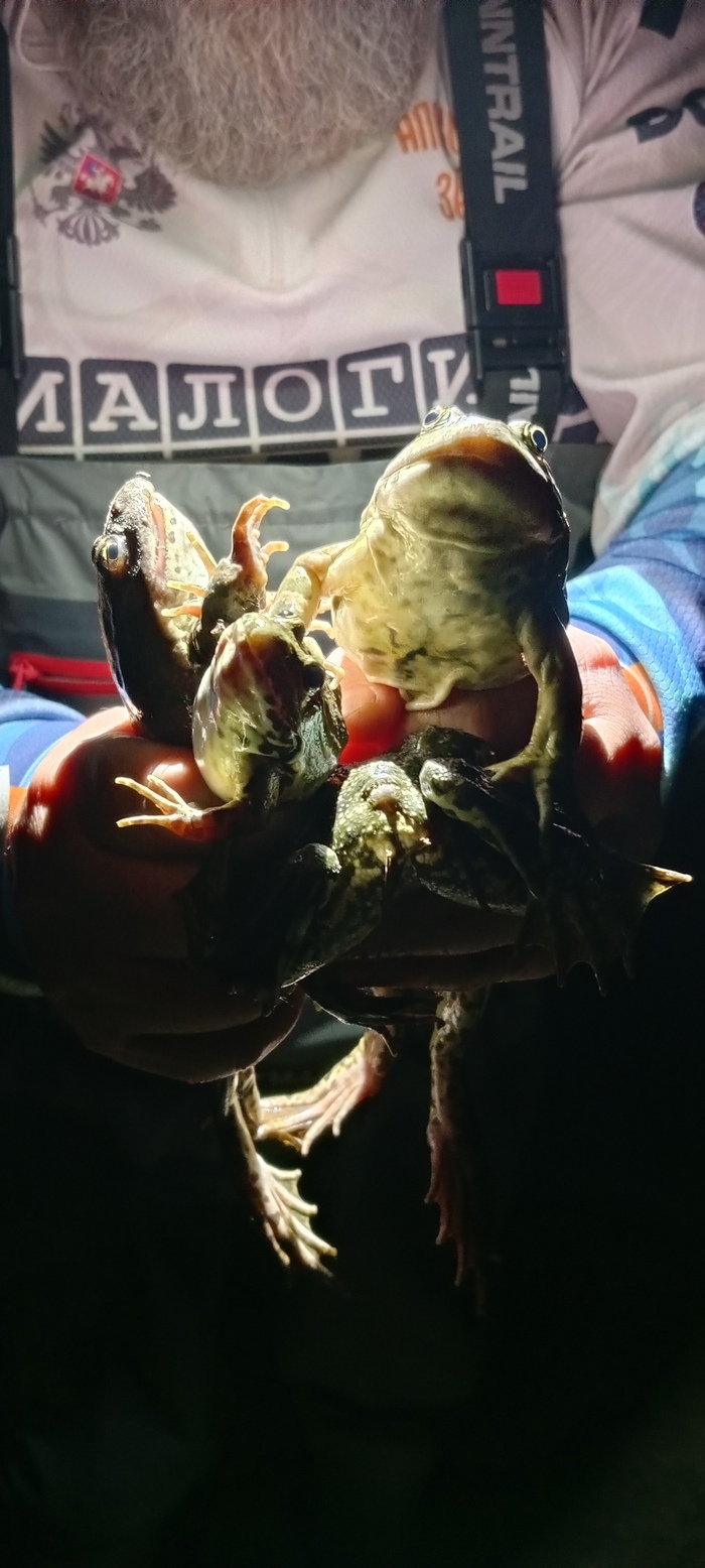 Среда. Букет из них)