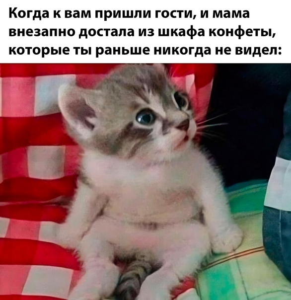      ,  ...   , , , , , , , , ,   , 