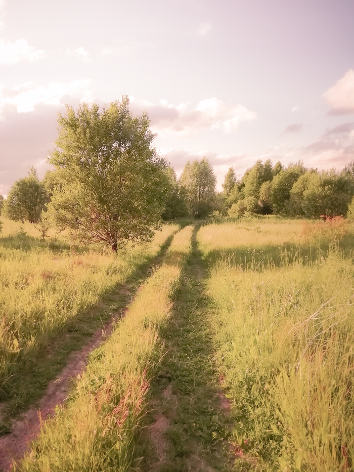    , ,  ,  , , ,  , Lightroom, Huawei,  