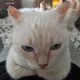   Morrskaya