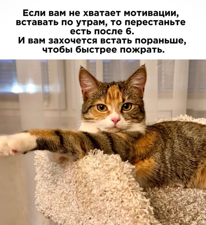   !!!
